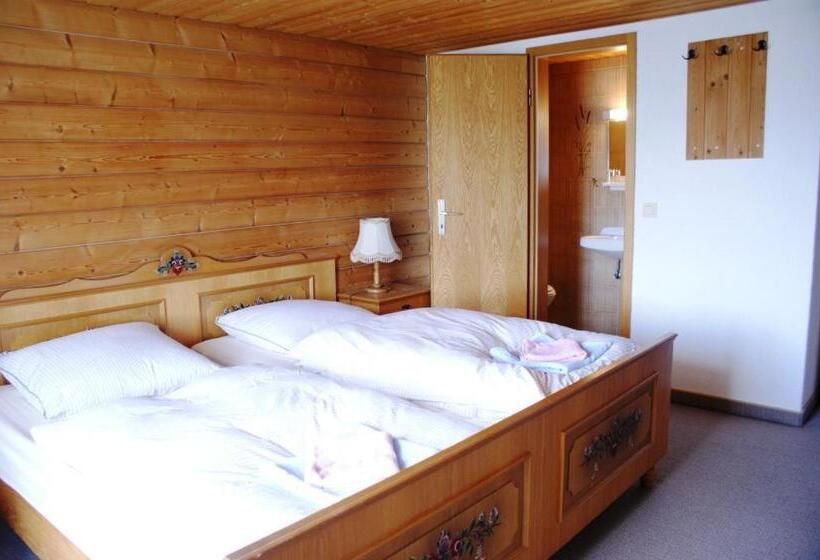 Общежитие Pension Hirsch