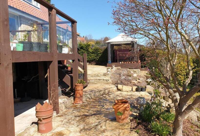 Aldebaran B&b