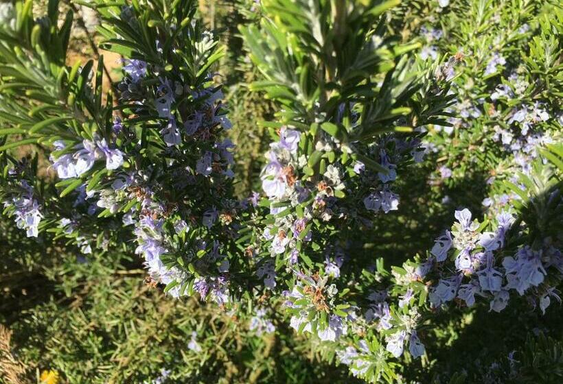 צימר Au Bord De La Dhuy