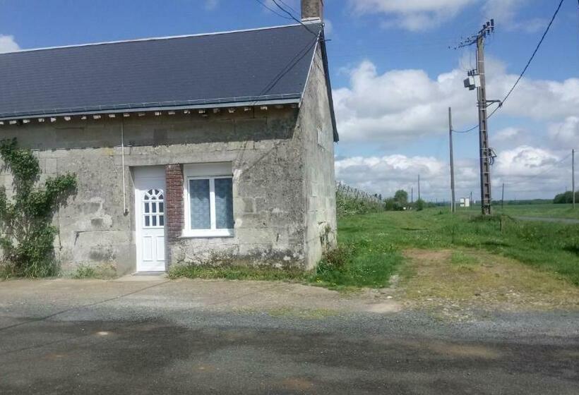 ベッドアンドブレックファースト Bellevue