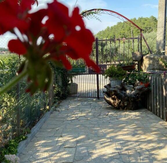 Bed and Breakfast Casa Da Aldeia Da Avó