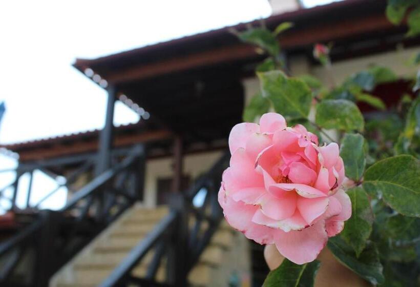 Bed and Breakfast Casa Da Aldeia Da Avó