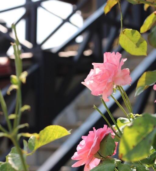Bed and Breakfast Casa Da Aldeia Da Avó