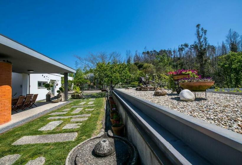 Bed and Breakfast Casa Da Costa Grande