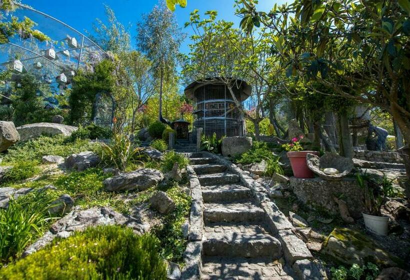 Bed and Breakfast Casa Da Costa Grande