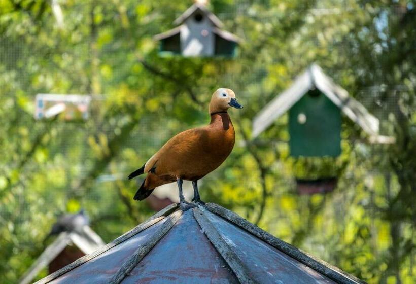 Bed and Breakfast Casa Da Costa Grande