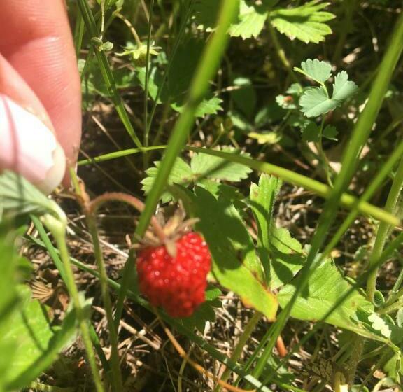 住宿加早餐  Chambre D Hotes Sandra