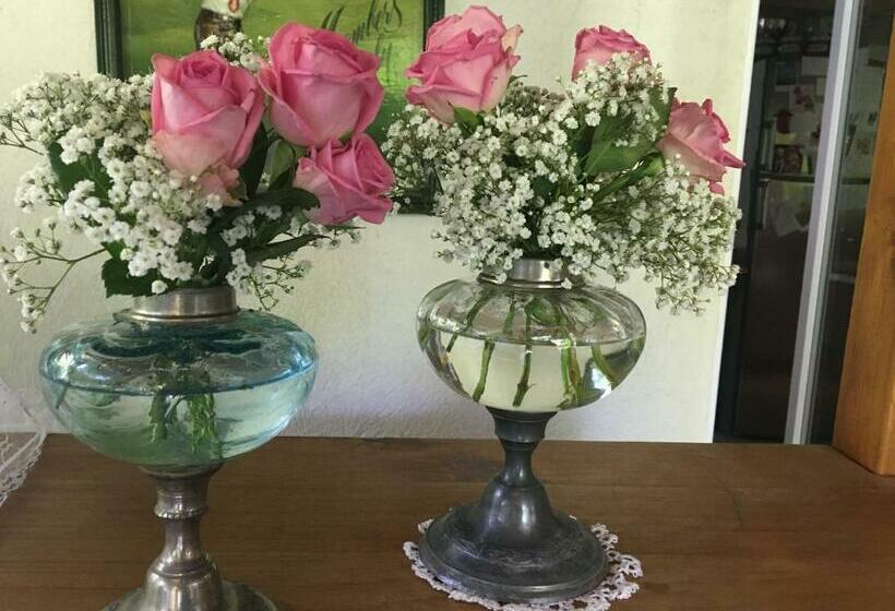 住宿加早餐  Chambre D Hotes Sandra