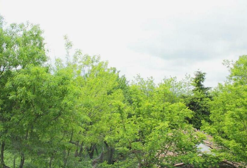 צימר Cielo Stellato