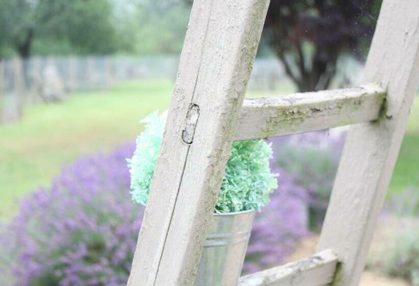 민박 Comme à La Ferme