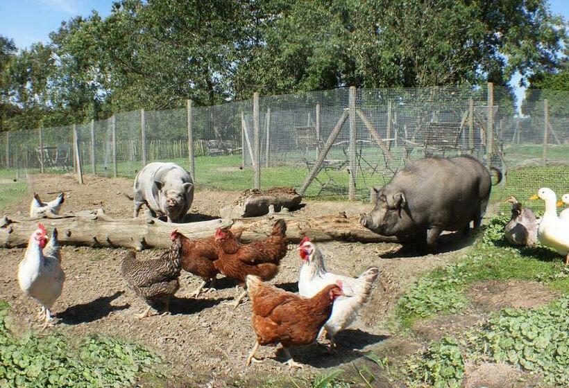 민박 Comme à La Ferme