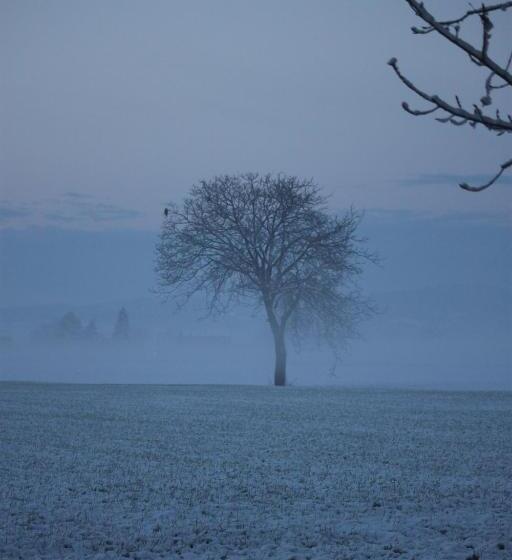 צימר La Casa Dei Gatti