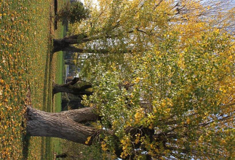 צימר La Casa Dei Gatti