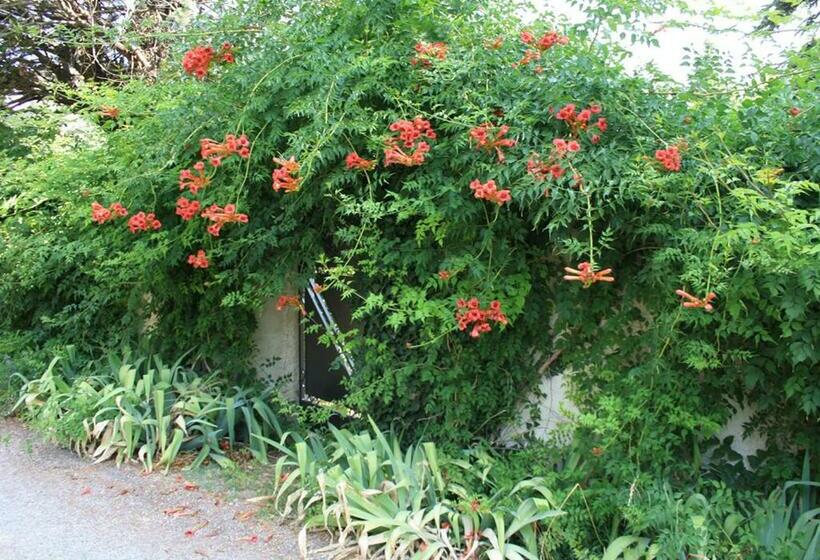 Bed and Breakfast La Maison Des Invites