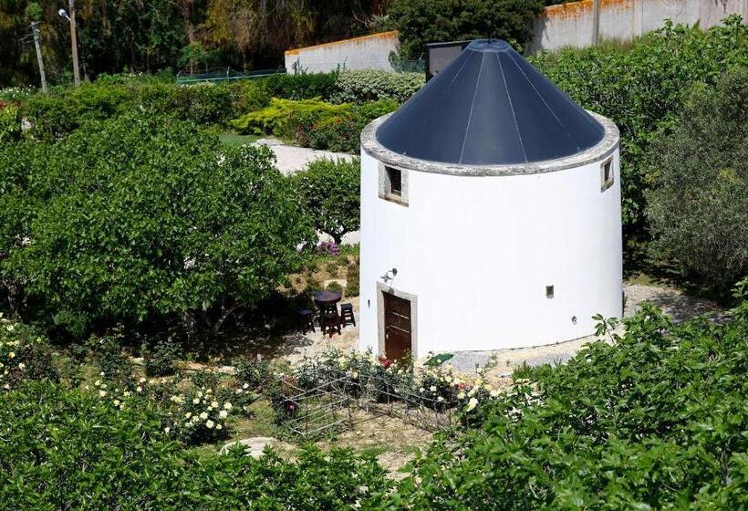 مبيت وإفطار Olá Belém! Cozy Windmill, Stunning Views To Lisboa