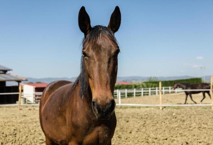 تختخواب و صبحانه Podere San Giuseppe