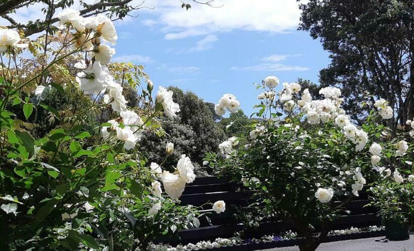 민박 Sequoia Steps