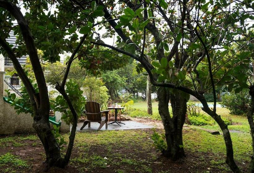 تختخواب و صبحانه Seven Gables