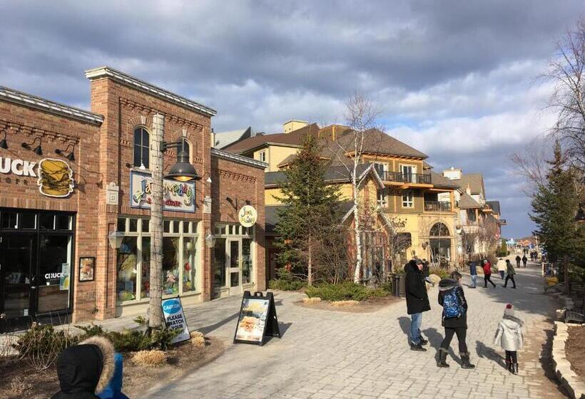 Blue Mountain Studio Loft At North Creek Resort