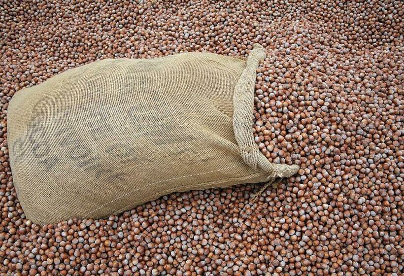 فندق Agriturismo Cascina Barin