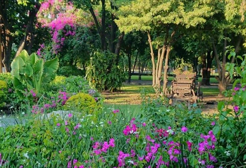 ホテル Casa De Las Luciérnagas