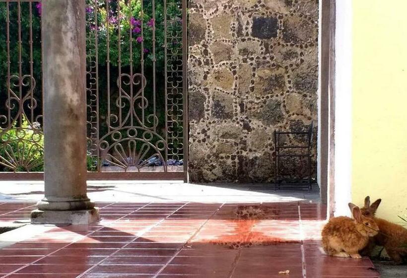 ホテル Casa De Las Luciérnagas