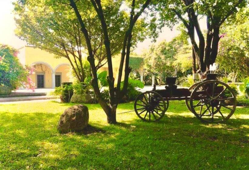 호텔 Casa De Las Luciérnagas