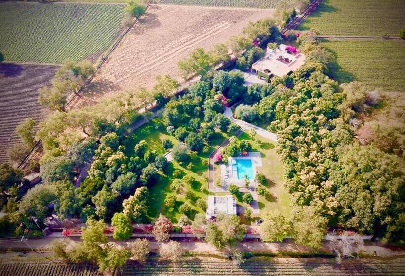 ホテル Casa De Las Luciérnagas