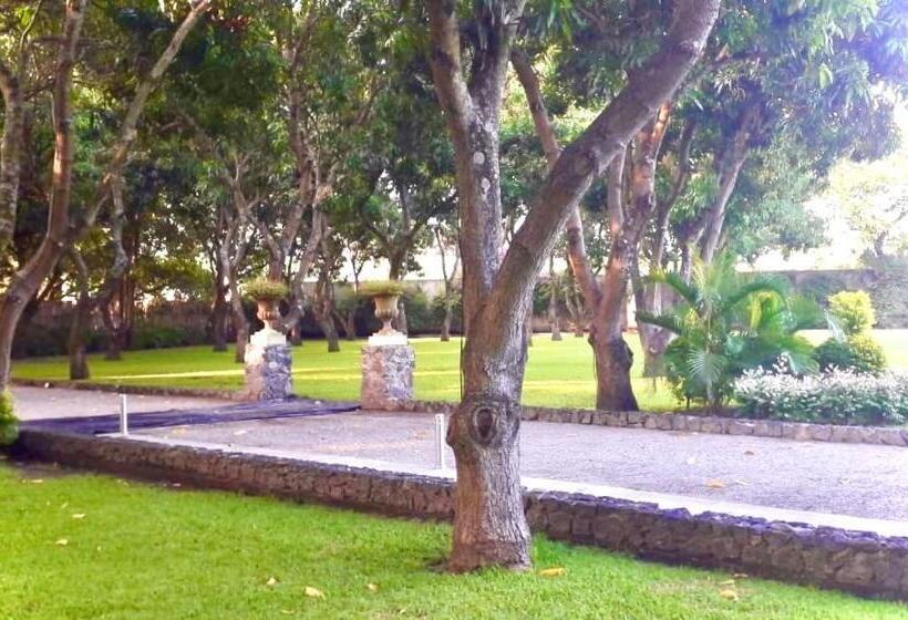 ホテル Casa De Las Luciérnagas