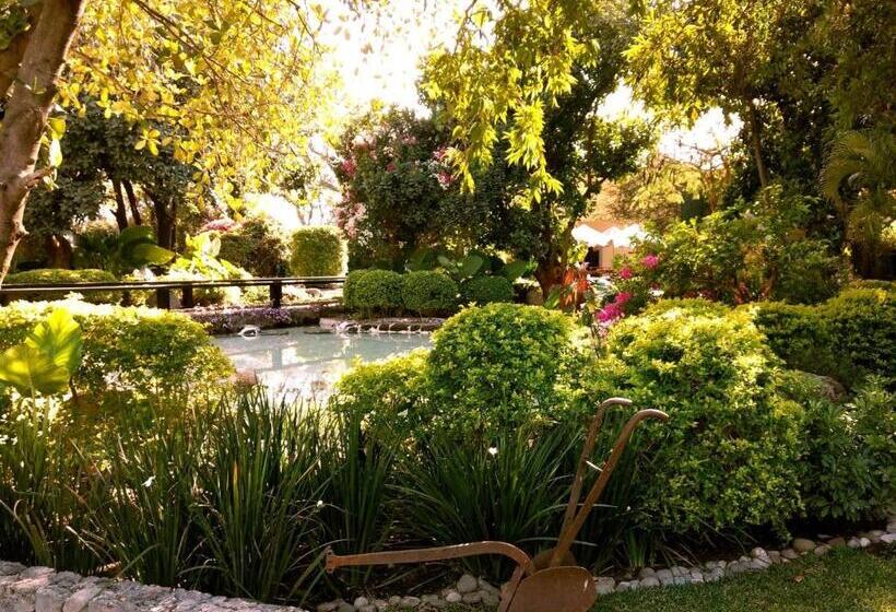 ホテル Casa De Las Luciérnagas