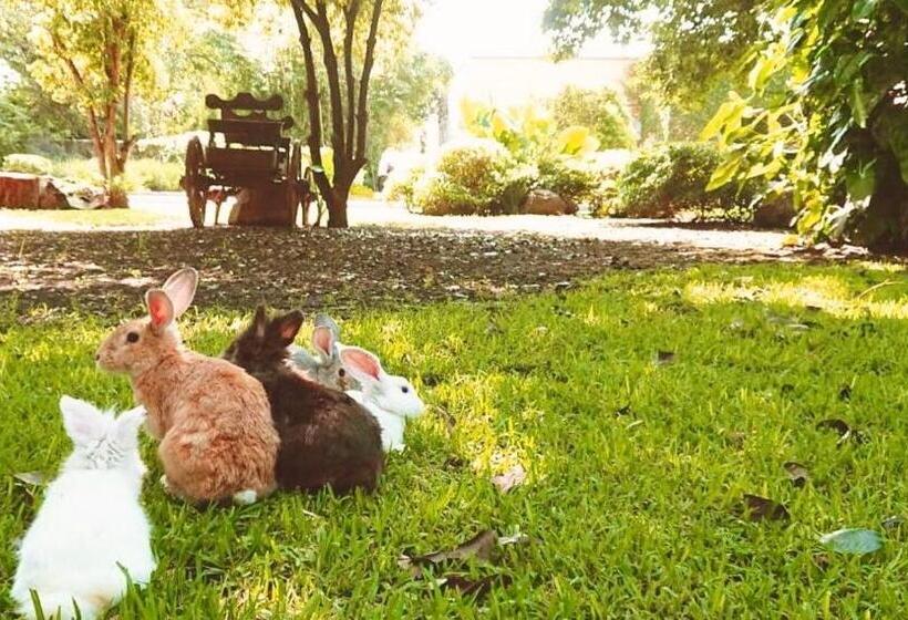 ホテル Casa De Las Luciérnagas