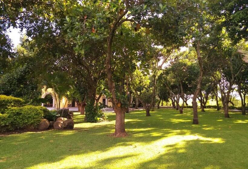 ホテル Casa De Las Luciérnagas