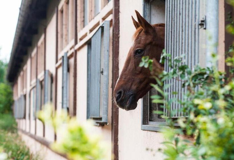 酒店 Project June   Ehemals Landgasthof Jüterbog