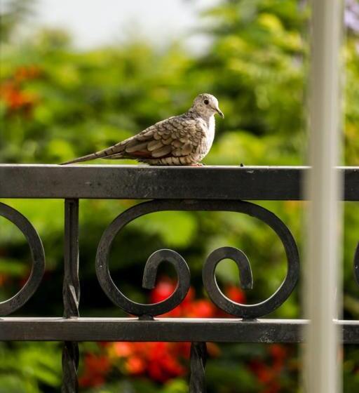 Otel The Lorian Club