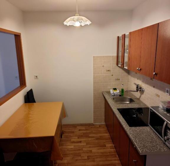 پانسیون Apartmaji Pri Kokolu