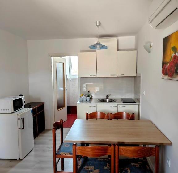 پانسیون Apartmaji Pri Kokolu