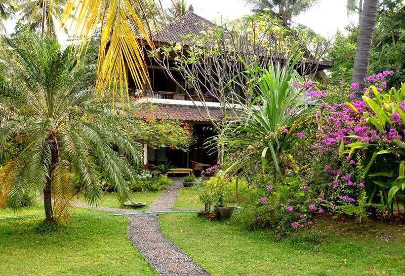 פנסיון Bali Sandat