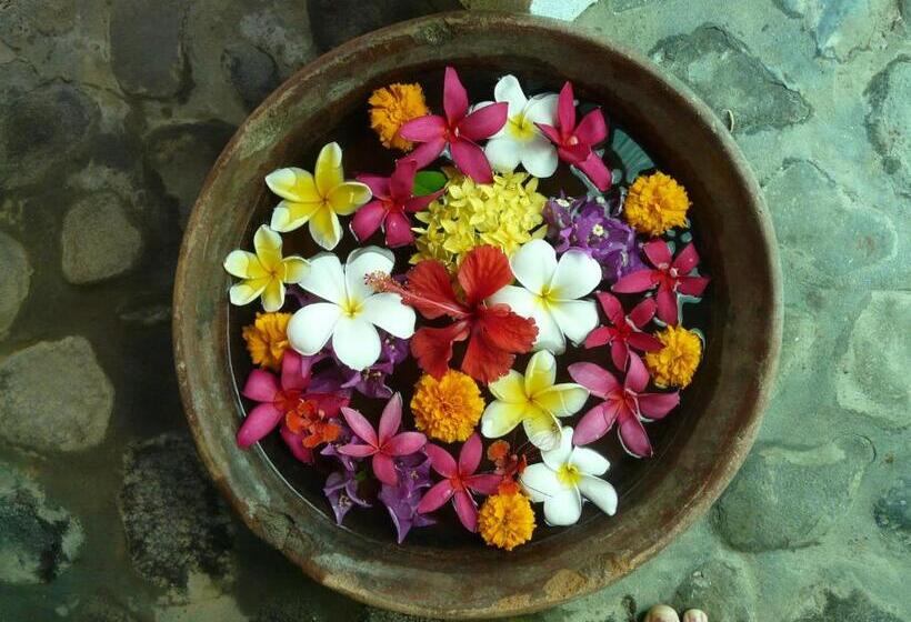 פנסיון Bali Sandat