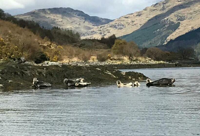 بنسيون Carrick Farm
