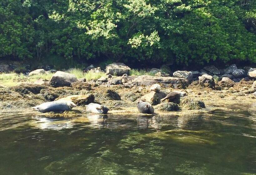 بنسيون Carrick Farm