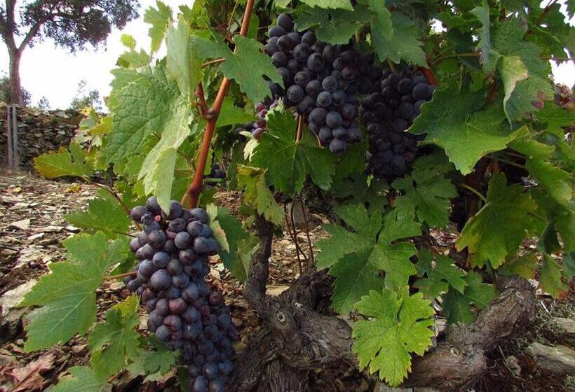 펜션 Casa Do Poço   Douro