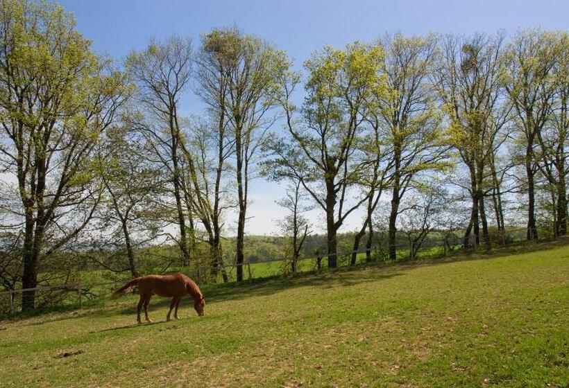 펜션 Penzión Uhliská A Depandance Gazdovský Dom