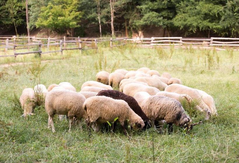 펜션 Penzión Uhliská A Depandance Gazdovský Dom