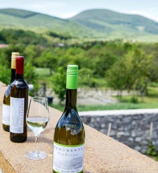 펜션 Provinum Borászat és Vendégház