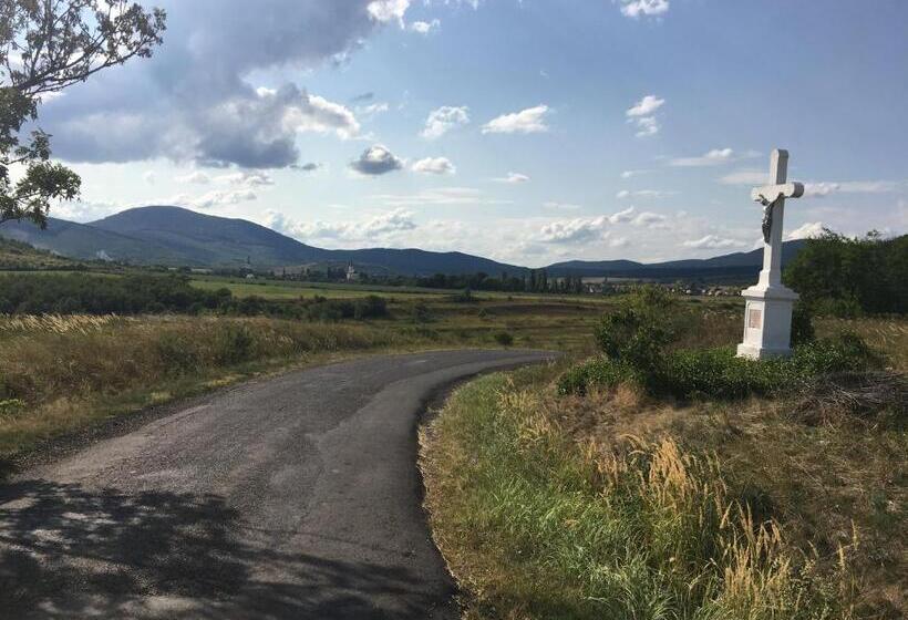 펜션 Provinum Borászat és Vendégház