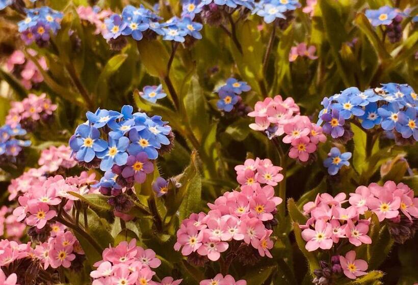 펜션 Provinum Borászat és Vendégház