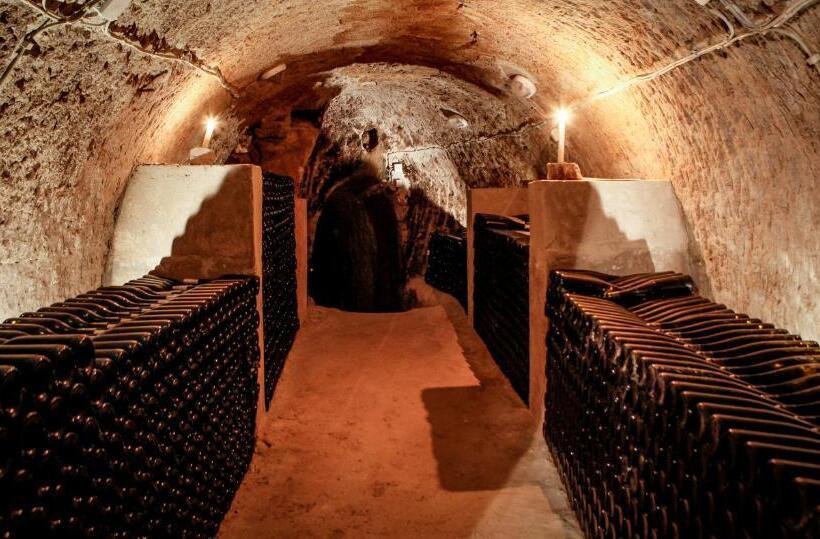 펜션 Provinum Borászat és Vendégház