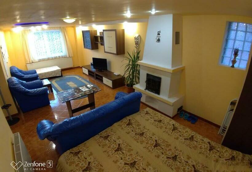 פנסיון Sibiu 33