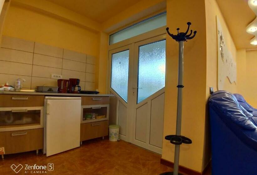 פנסיון Sibiu 33