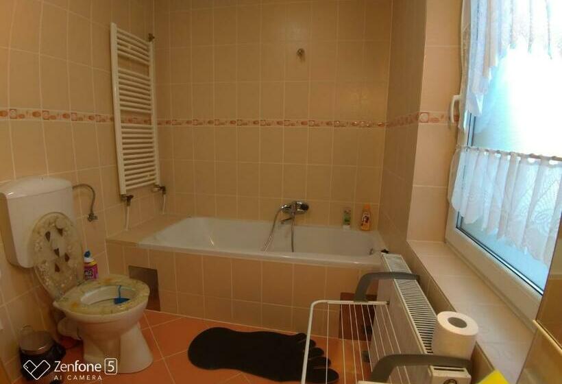 פנסיון Sibiu 33